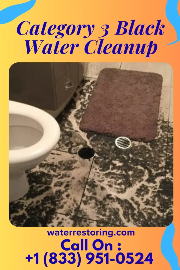 Category 3 Black Water Cleanup in Oreminea, PA