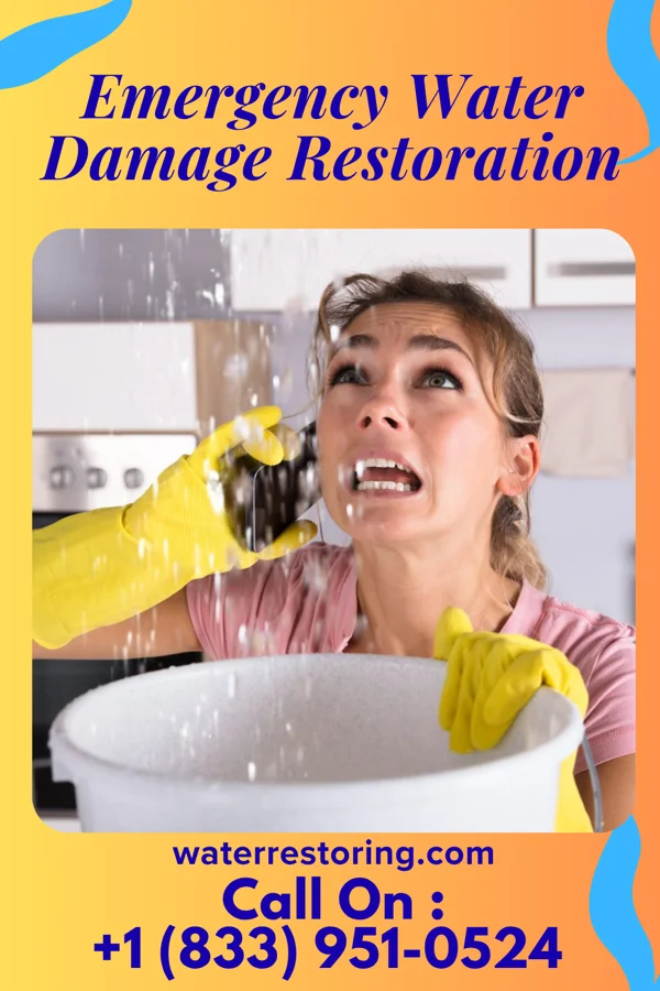 Emergency Water Damage Restoration in Oreminea, PA