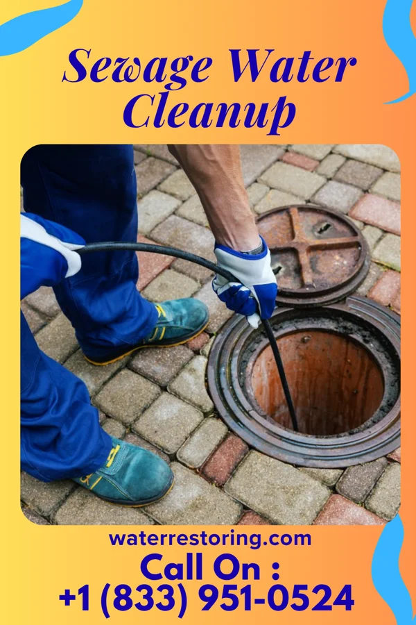 Sewage Water Cleanup in Oreminea, PA